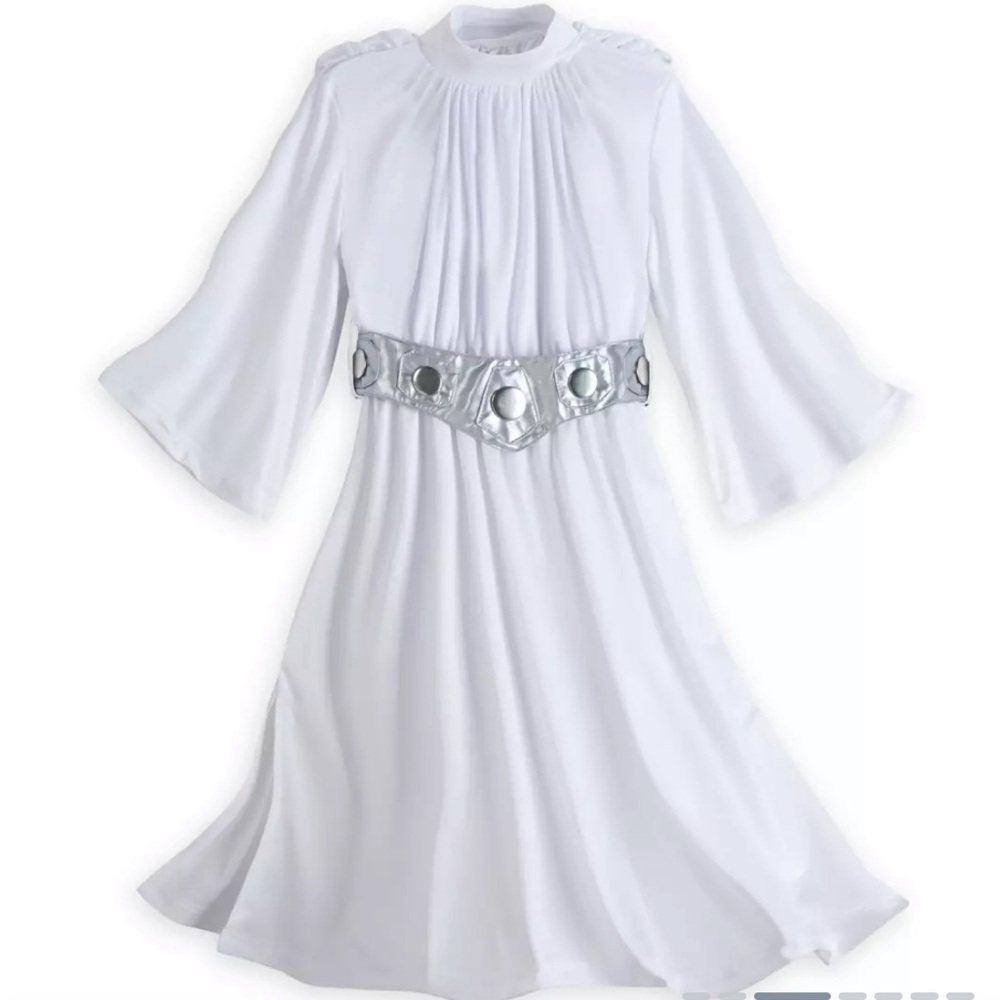 Disney Princess Leia Costume - gently used from non-smoking home